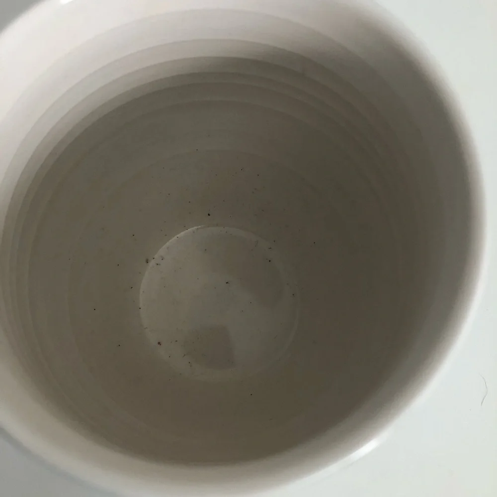 Anthropologie green white